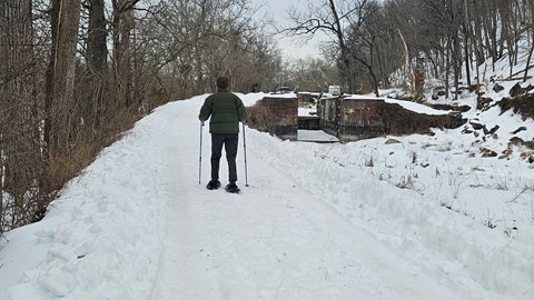 Person dressed in green walking on a snow path