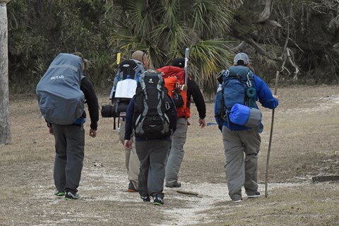 A group of 5 back packers hiking along an open trail on Cumberland Island