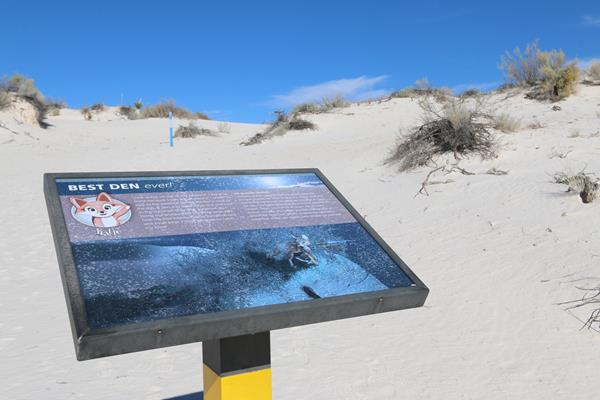 The "Best Den Ever!" interpretive sign on Dune Life Nature Trail.