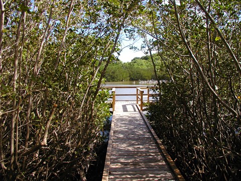 Frances Bay Board Walk and viewing platform