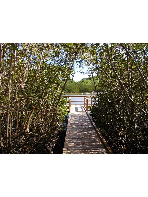 Frances Bay Board Walk and viewing platform