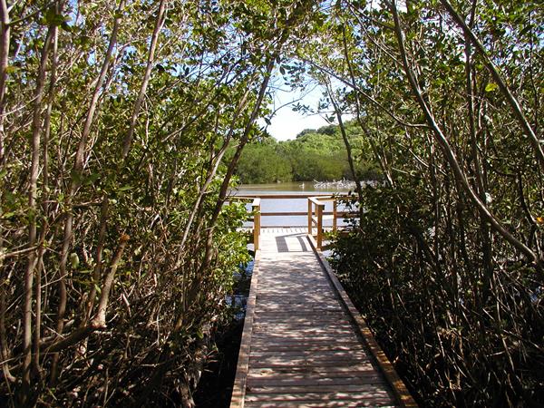Frances Bay Board Walk and viewing platform