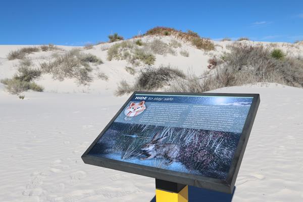 The "Hide to Stay Safe" interpretive sign at Dune Life Nature Trail.