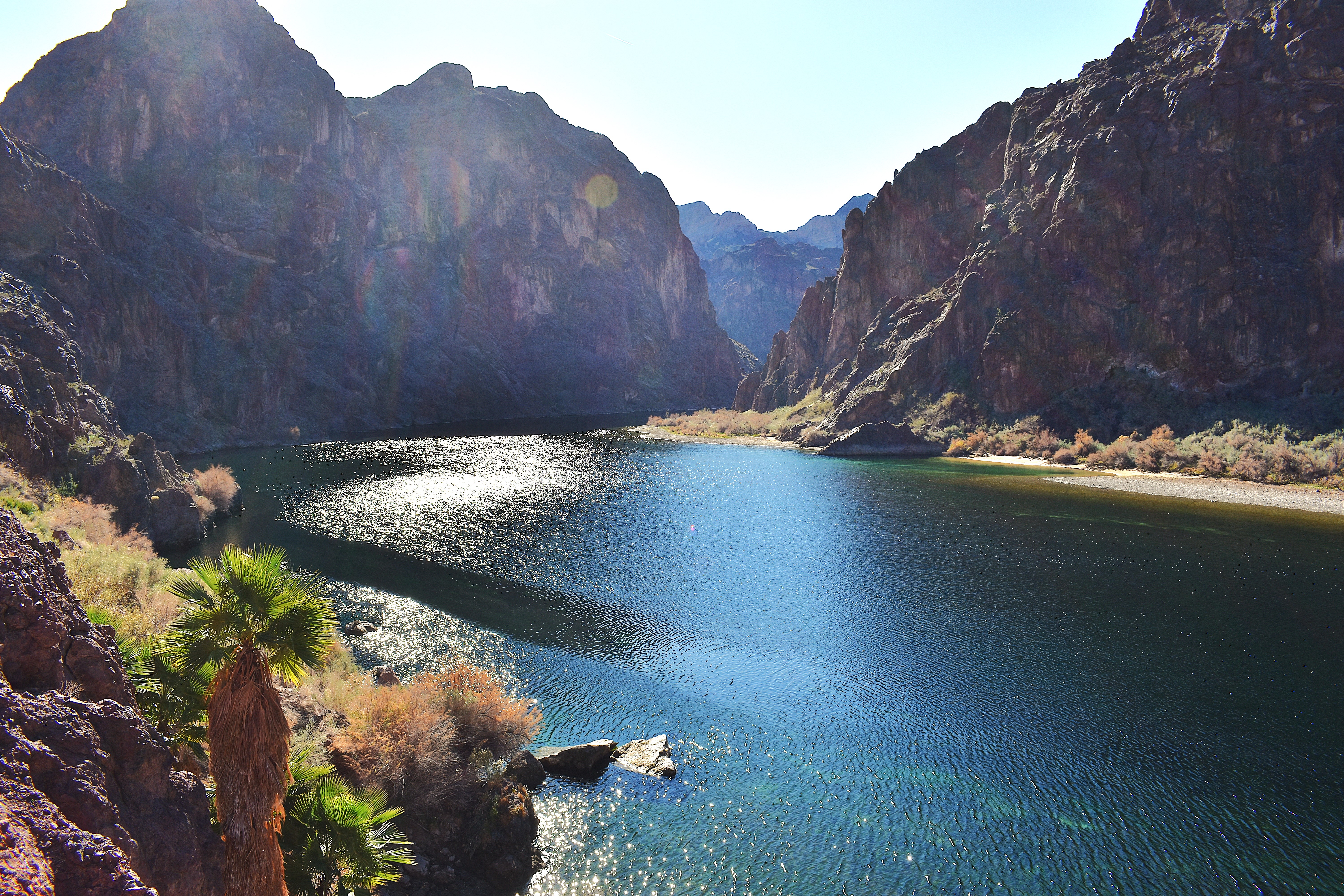 Hike the Lone Palm Trail