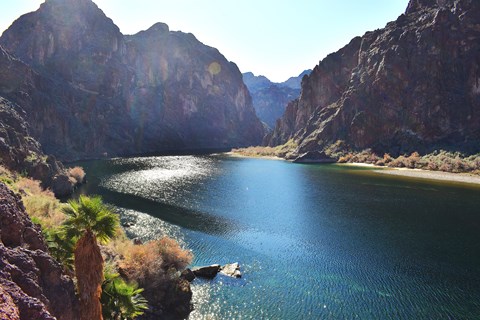 A view of the Colorado River at the end of the Lone Palm route.