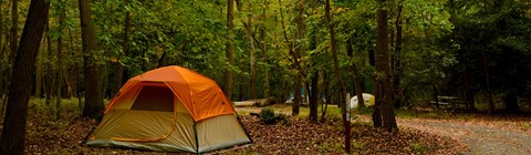 Tent camping at Greenbelt Park.