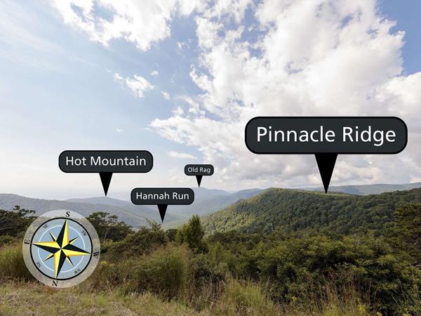 View over hedge of mountains in the distance.