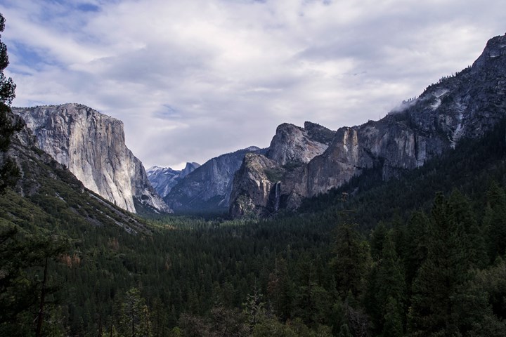Large granite monoliths in the distance with a dense conifer forest below