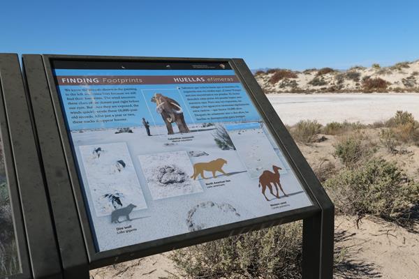 The "Finding Footprints" interpretive sign at the Playa Trail.
