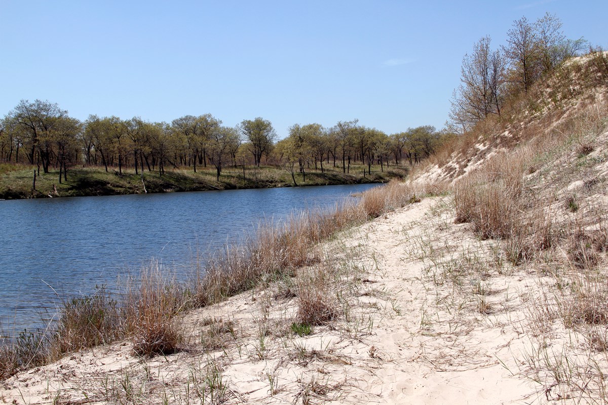 Sand dunes rising above wetland ponds in the oak savanna of Miller Woods.