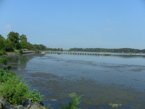 view of a wooden boat ramp, shoreline and water