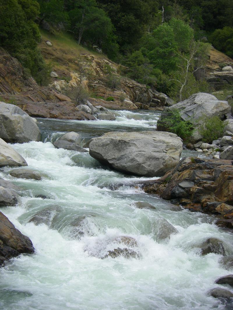 Paradise Creek