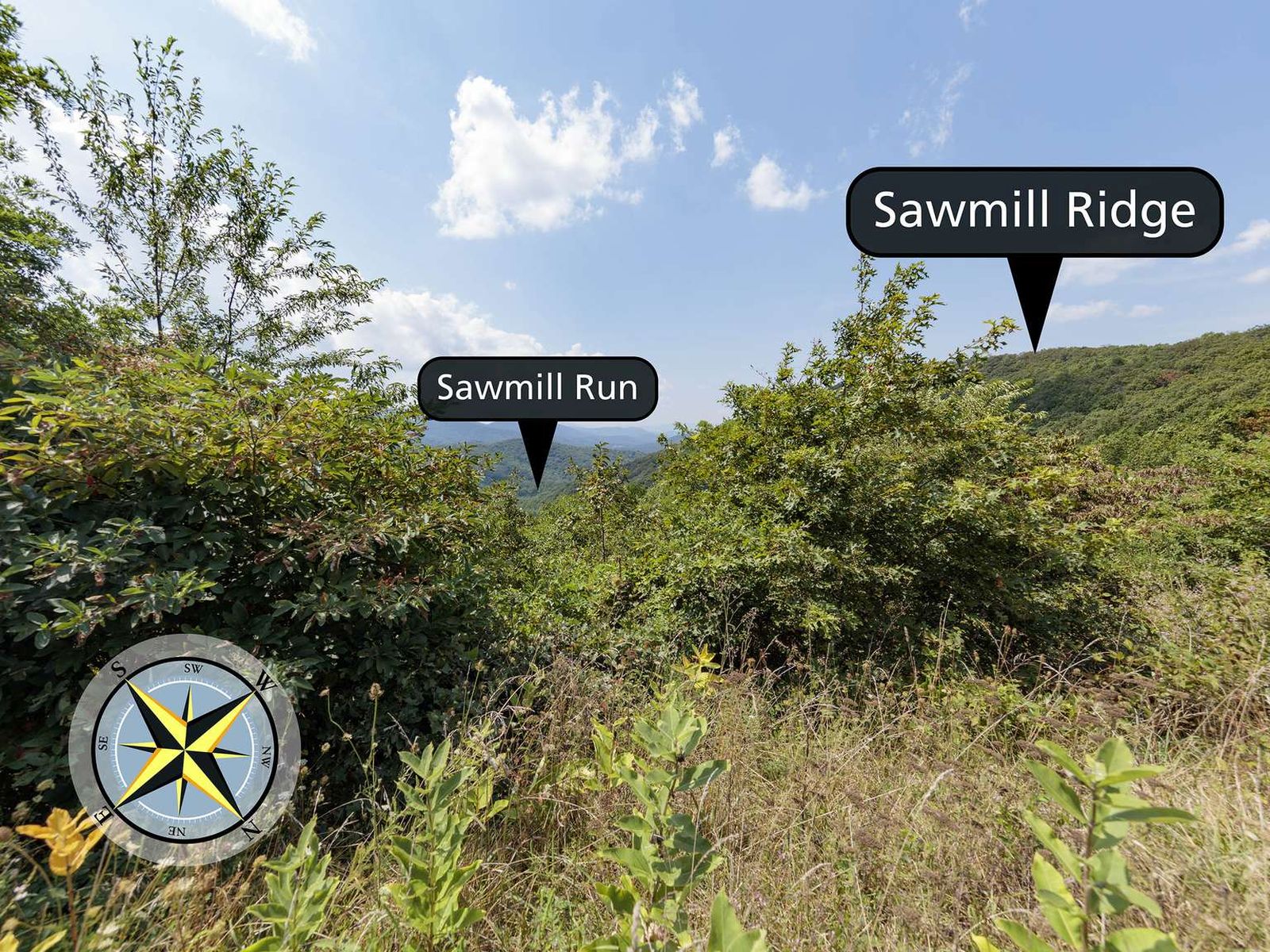 Sawmill Run Overlook