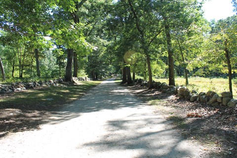 A wide dirt trail flanked on either side by a low stone wall. Trees shade the stone walls and trail