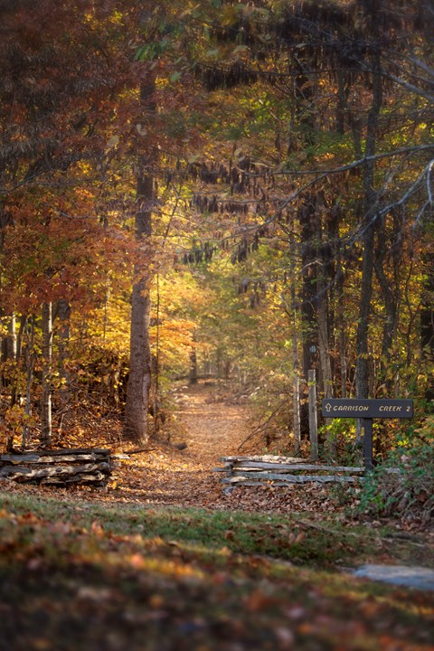 trailhead leading into forest. Orange and yellow leaves hang from trees bordering trail.
