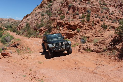 A jeep on a dirt road in a sandstone canyon