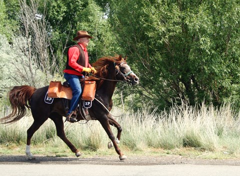A man rides a horse, dressed as a pony express rider from the 1860 in cowboy attire.