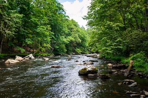 View of a lush, forested river. Water is clear and reflects blue sky. Rocks dot the riverbed.