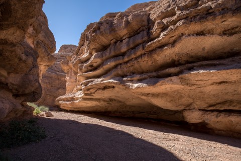 A trail cuts through a winding canyon.