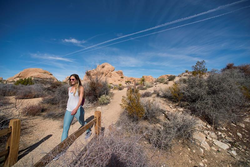 Hike Skull Rock