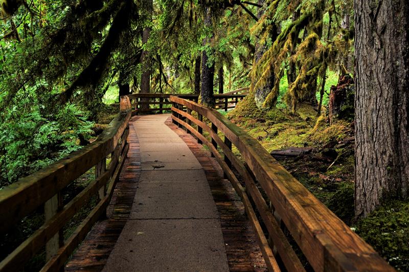 Hike the Trails at Bartlett Cove