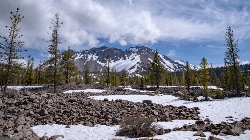 A photo of a rock field with sparse conifer trees at the base of a group of volcanic domes.