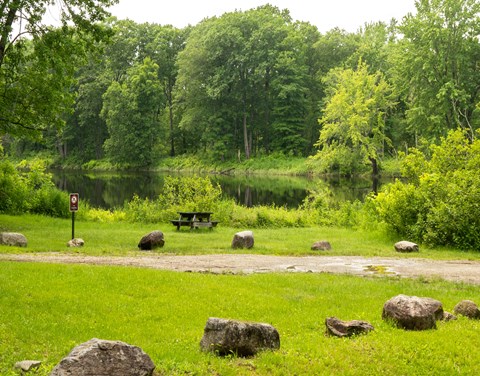 Available picnic tables sit on a grassy area next to a river.