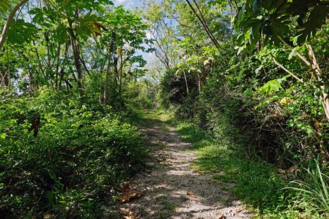 Asan Ridge Trail