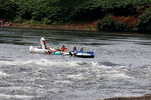 Group of people in life jackets floating on inner tubes and inflatable swan in river with rapids.