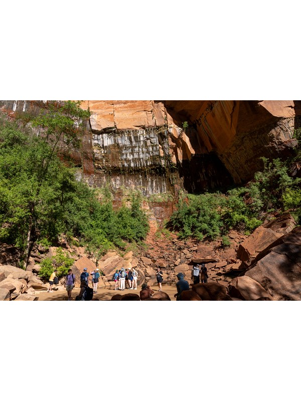 A large group of people near a pool of water with green trees and an orange sandstone cliff face