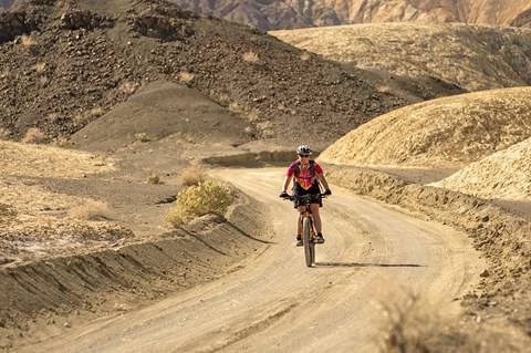 A mountain biker rides down a dirt road toward the camera between yellow hills with few plants.
