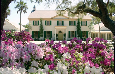 pink and white flowers in bloom in front of two story historic building with green shutters