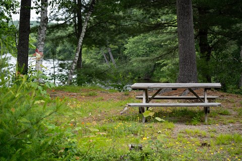A tightly cropped wooden picnic table. It sits on a grassy area above a river in the background.