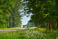 Yellow VW Beetle drives away from the viewer along the Natchez Trace Parkway