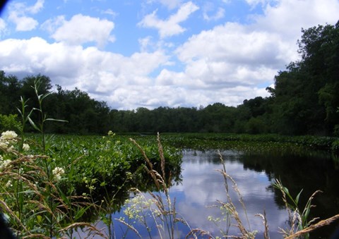 View of marshy Chicone Creek on a sunny day.