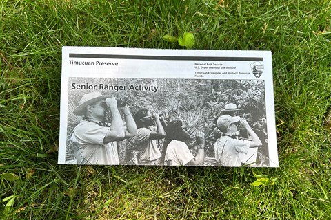 activity book in black and white on grass