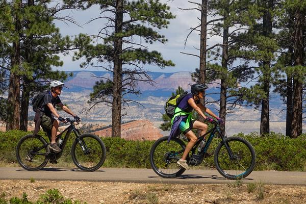Two cyclists ride along paved forested path