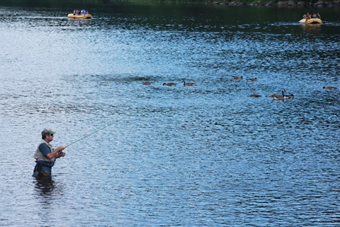 Man fly fishing while wading in knee-deep water in river. Rafters in water in distance.