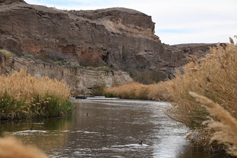 A river with bluffs in the background.