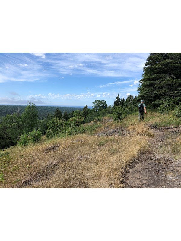 A person hikes along a trail on a ridge top. Trees cover the rolling landscape.