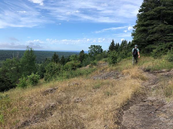 A person hikes along a trail on a ridge top. Trees cover the rolling landscape.