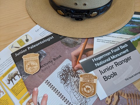 Junior ranger booklets, badges, and a ranger hat are scattered across a table.