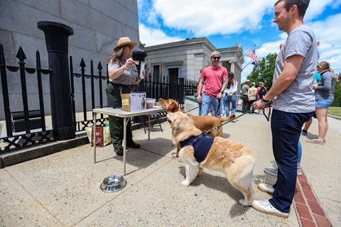 A golden retriever and a light-brown dog looking up at a ranger standing behind a table.