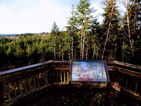 Interpretive sign at overlook with a view of tall trees and the ocean