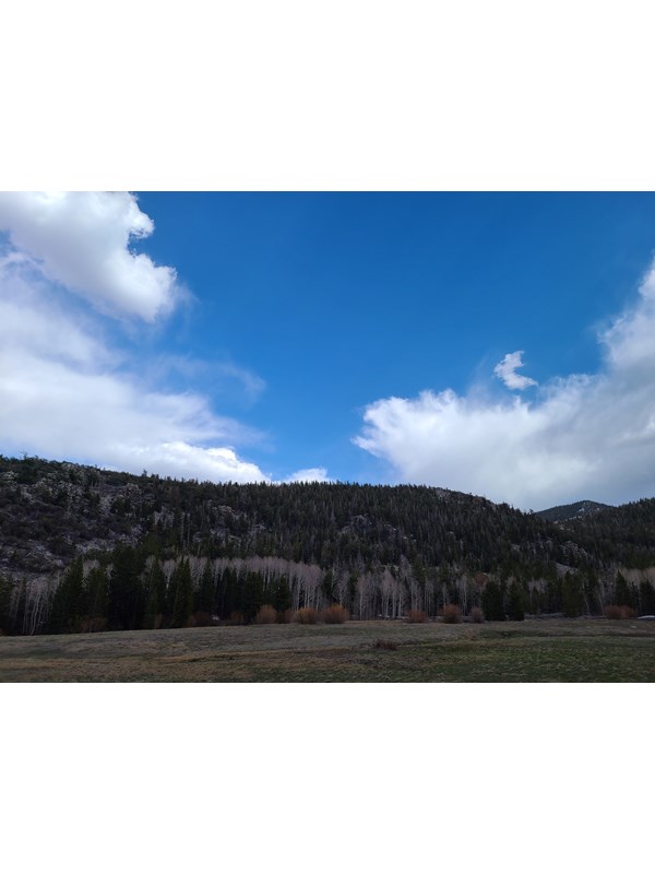 A green and brown meadow sits flat beneath a rising, tree covered mountain with patchy blue sky.