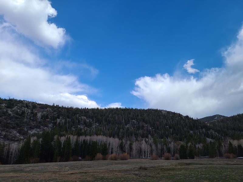 Hike the Baker Creek Loop
