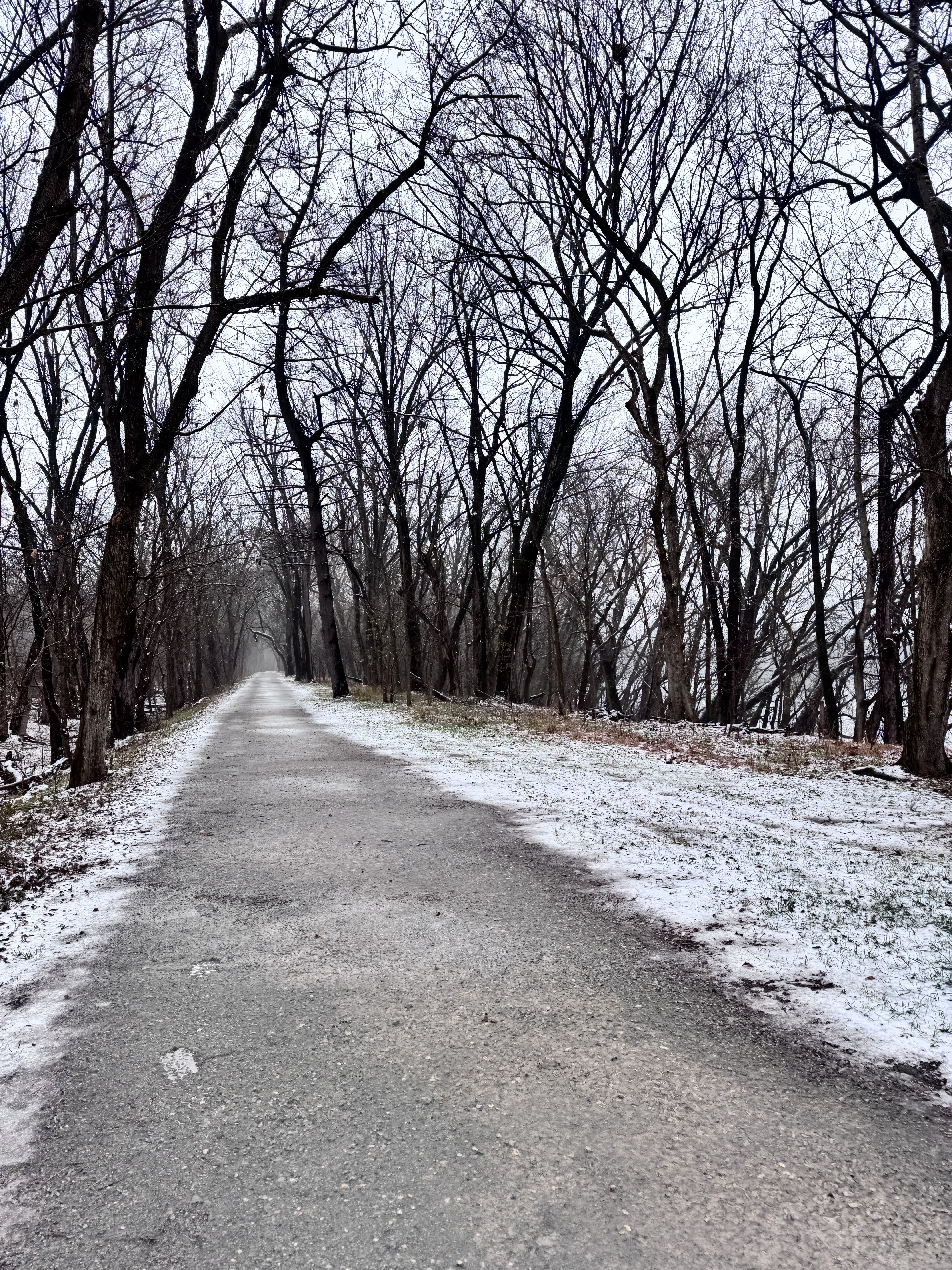 Skiing and Snowshoeing the Great Allegheny Passage