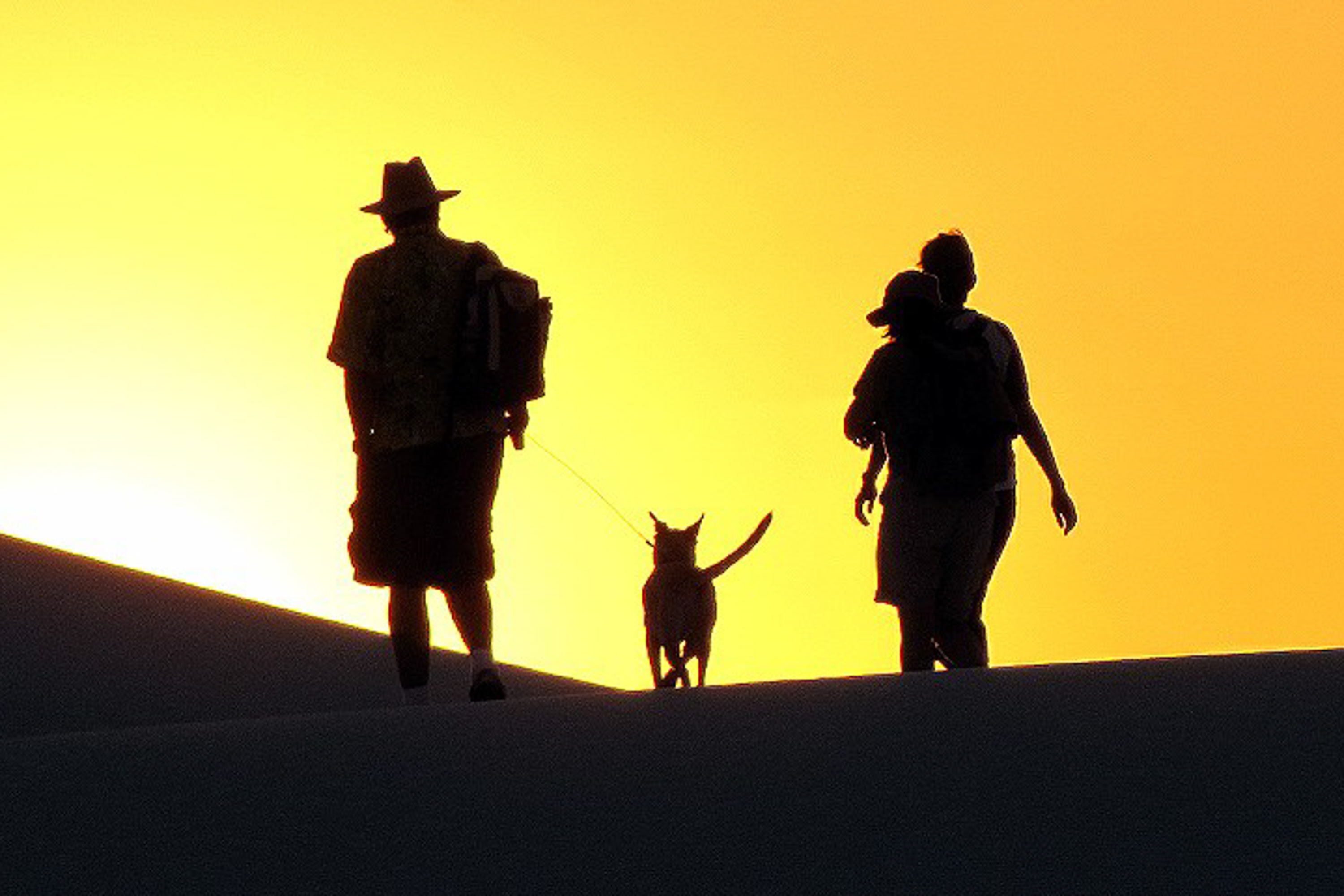 Pets at White Sands