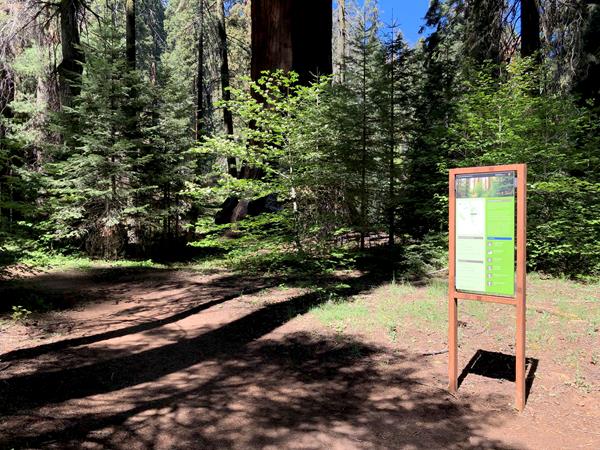 A trailhead sign stands along a junction of two trails in a wooded area.
