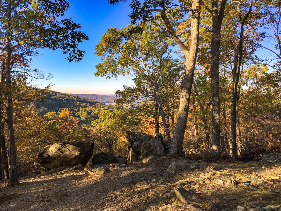 Rough boulders and tall tree trunks frame an overlook showing distant valleys.